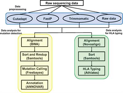 Assessing the Impact of Data Preprocessing on Analyzing Next Generation Sequencing Data